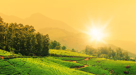 Munnar