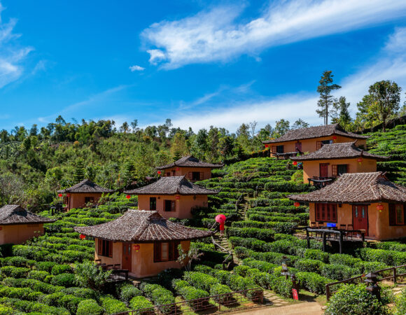 Chitwan Tour Package