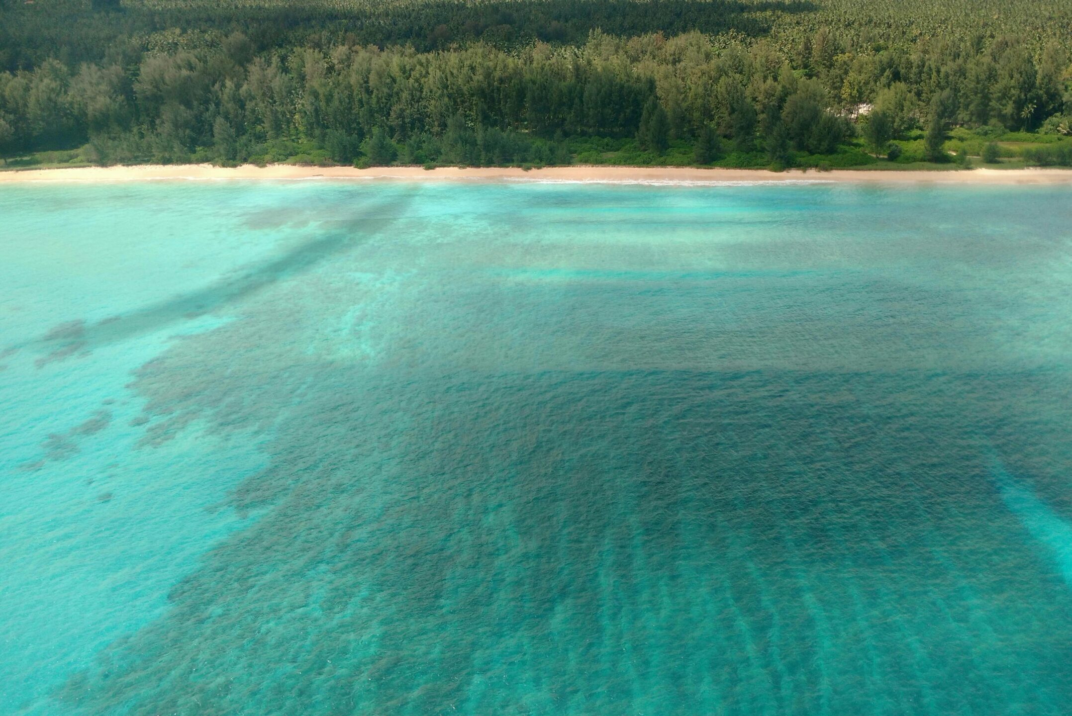 Cherished Family Moments: Andaman Tour Package
