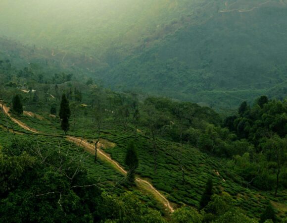East & West Sikkim with Darjeeling Tour Package